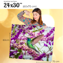 impresion-de-fotos-24x30 Impresión de Fotografías 24x30 " (60x75 cm)