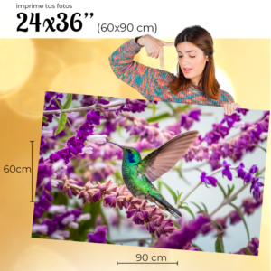Impresión de Fotografías 24x36 " (60x90 cm)