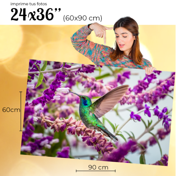 Impresión de Fotografías 24x36 " (60x90 cm)